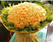 探索香槟玫瑰的花语 香槟玫瑰花的花语