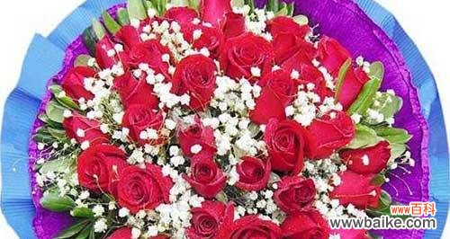 探究玫瑰花语的秘密,了解17朵玫瑰所代表的情感世界 17朵玫瑰花语的深刻含义