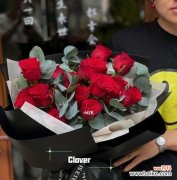 浪漫爱情与真挚情谊 | 19朵红色玫瑰花的含义