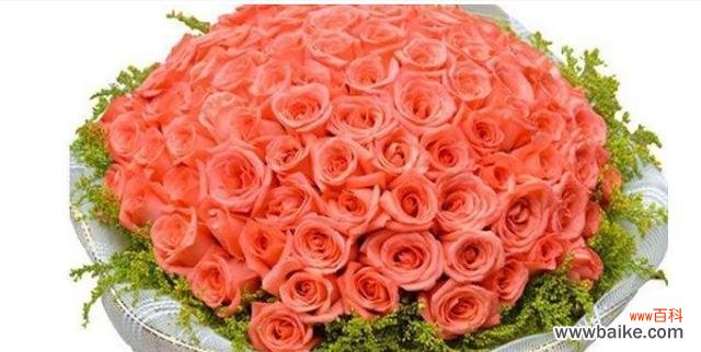 解析不同数量的玫瑰花所代表的意义 玫瑰花数量的含义