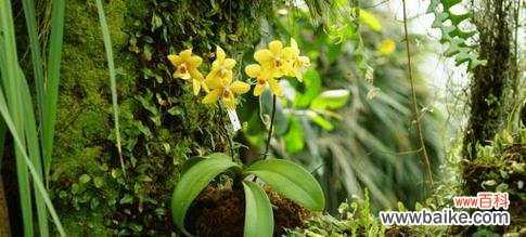 揭示爱情中的变态行为和心理 变态的爱