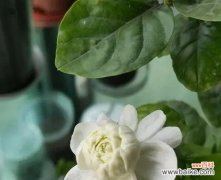 揭示爱情中的变态行为和心理 变态的爱