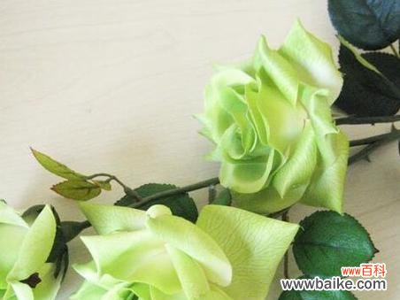 揭秘玫瑰花背后的单身花语之谜 单身花语之玫瑰花