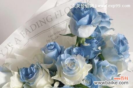 探寻绿玫瑰的神秘意义 绿玫瑰的花语