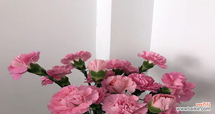 选择合适的花束，让妈妈感受到您的爱与关怀 母亲节送什么花？精选花卉指南