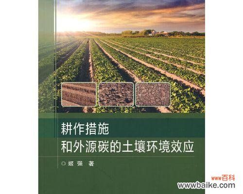 措施与实践，为未来打造可持续发展的土地资源 保护土壤，共建绿色家园