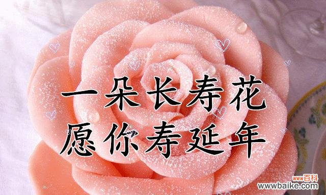 百合花语中的奉献精神及其意义 以百合花为主题的奉献之花语