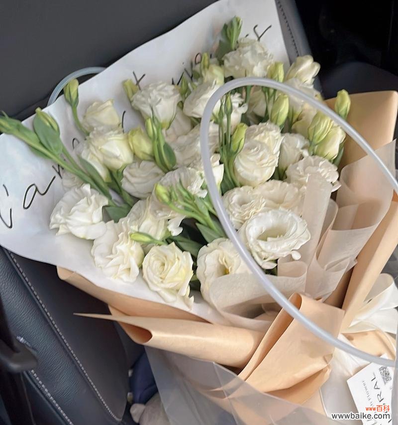 探秘白色桔梗的花语与寓意，感受自然之美与人性之善 白色桔梗花语——清新高贵的代表