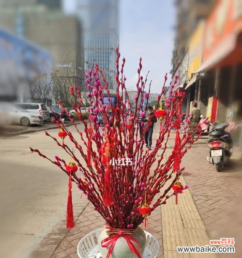 以银柳代表希望的生命力和坚韧品质 银柳