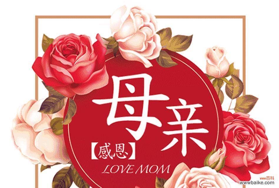 康乃馨 母爱的花语——以康乃馨为主题