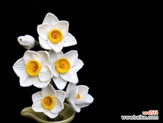 揭秘月桂花的神秘力量 月桂花的传说与希腊神话