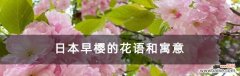 探寻樱花文化的内涵与价值 樱花的花语与寓意