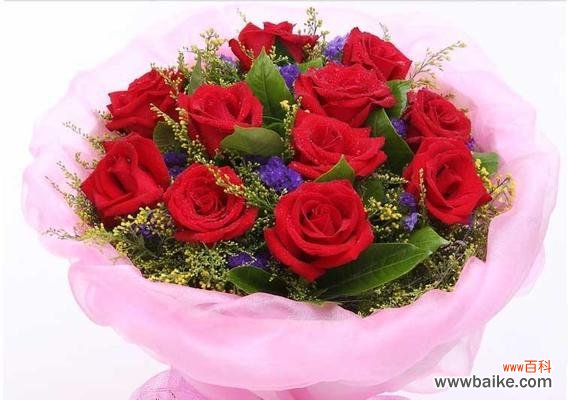表达爱情的最佳选择,了解玫瑰花的深层含义 12朵玫瑰花的花语