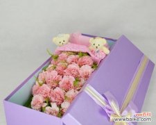 探寻紫色康乃馨的意义与传说 紫色康乃馨花语