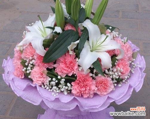 探寻紫色康乃馨的意义与传说 紫色康乃馨花语