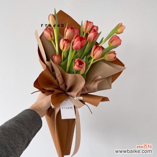 探寻郁金香送几朵的含义 一支郁金香，传递的爱意