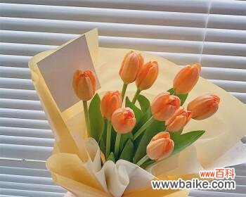 探寻郁金香送几朵的含义 一支郁金香，传递的爱意