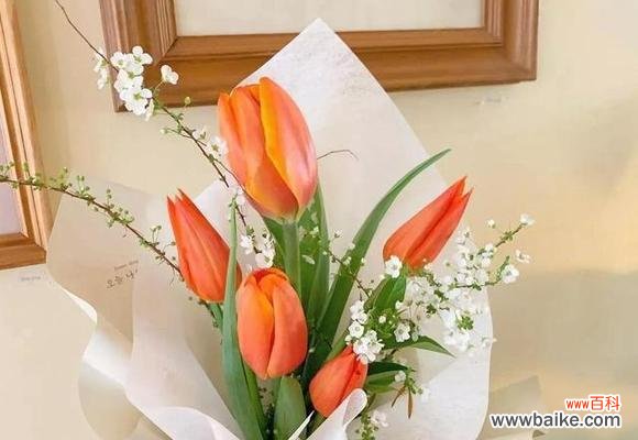 以玫瑰花为主题 花语浪漫传情,我爱你的心意无需言表