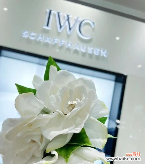 揭秘栀子花的花语及象征意义 栀子花的花语