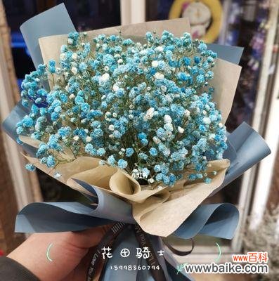 探究送满天星的文化内涵 送满天星，传递美好祝福