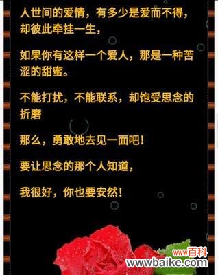 表达爱与思念的美丽百合花语 以百合花的花语为主题的《思念你》
