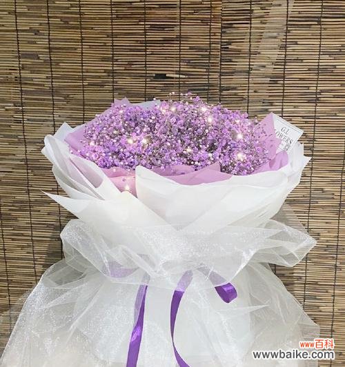 探寻满天星花的情感意义与象征意义 满天星的花语