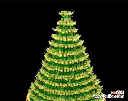 揭示宝塔富贵竹的深刻寓意 富贵竹之三层寓意