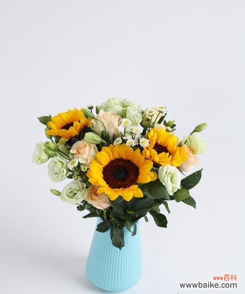 用花语诉说情感 插花作品名称寓意