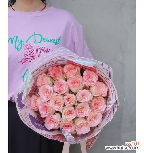 传递爱与感激之情的最佳选择 爱莎玫瑰花语与寓意