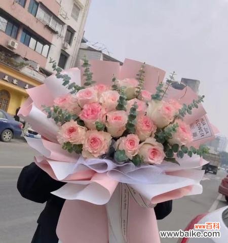 传递爱与感激之情的最佳选择 爱莎玫瑰花语与寓意