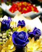 以“爱情”为的花语解析 爱情之花