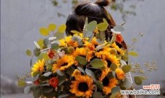 以阳光为灵感，传递美好情感 向日葵的寓意与花语