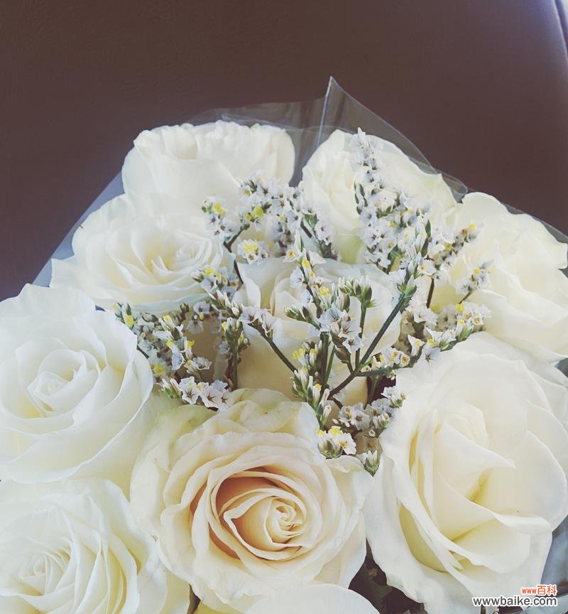 探究香槟色玫瑰所代表的意义 香槟色玫瑰的花语寓意