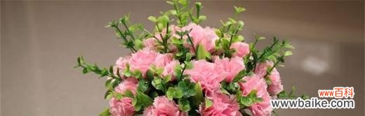 探寻康乃馨的情感与象征 康乃馨的寓意和花语