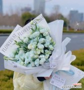 探究白色洋桔梗花的象征意义和文化内涵 白色洋桔梗花的花语