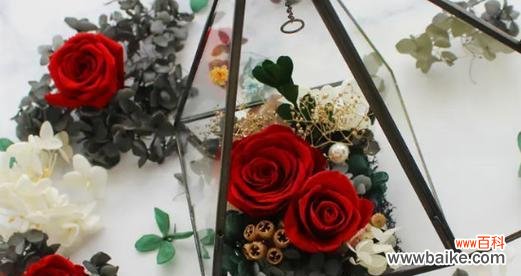 百合花语中的永生之美 永生之花