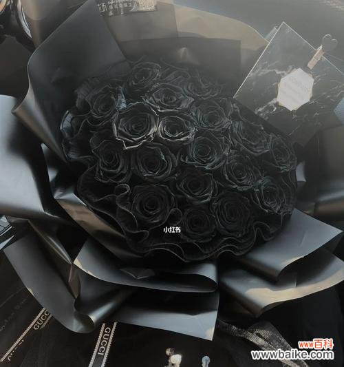 探索黑玫瑰背后的神秘与诗意 黑玫瑰的寓意与美感