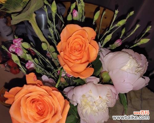 传递温暖与感谢 橙色玫瑰花语