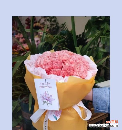 绽放真情 康乃馨花语解读——十种情感传达之花