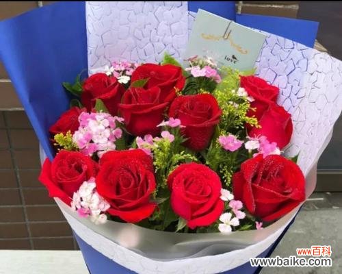 解读十一朵粉玫瑰的语言——浪漫、感激、爱意 十一朵粉玫瑰花语的含义