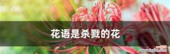 传递祝福 以康乃馨花语为祝福的花束