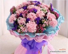 康乃馨19朵 康乃馨19朵的象征意义及传承