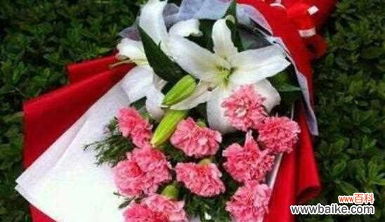 花语 十一朵康乃馨的意义与象征