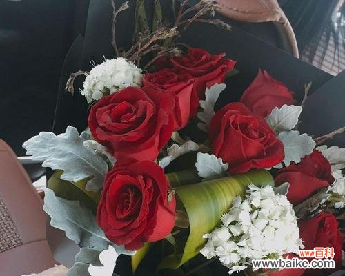 探究九朵玫瑰赠送的含义，传递爱情的语言 九朵玫瑰代表的寓意和象征