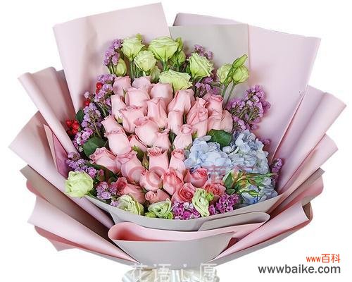 传递真挚爱意的花朵 33朵玫瑰花的花语