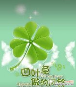 揭秘四叶草所代表的神秘意义 四叶草的花语