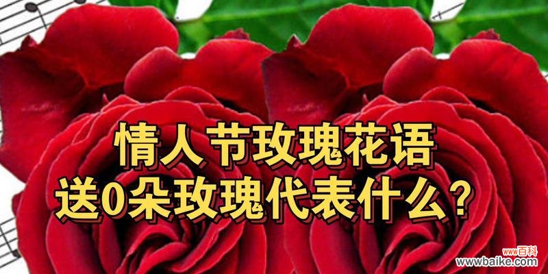 玫瑰的不同颜色和数量所传递的情感 四朵玫瑰的花语之解读