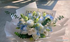 透过碎冰蓝 碎冰蓝的花语