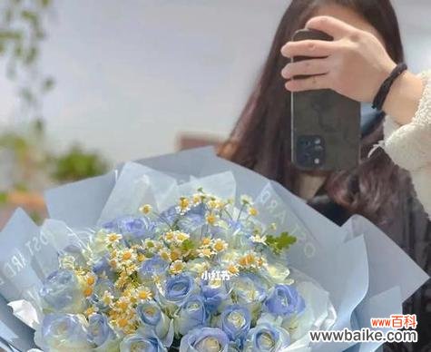 透过碎冰蓝 碎冰蓝的花语