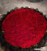 传递深情的红色花语 13朵红玫瑰的浪漫代表意义